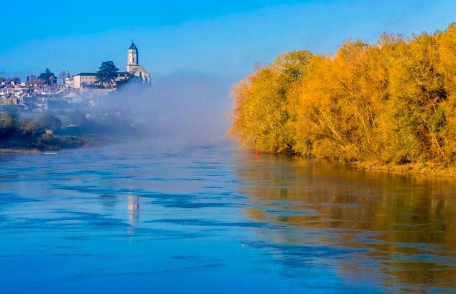 Апартаменты La Belliere Saint-Florent-le-Vieil Экстерьер фото